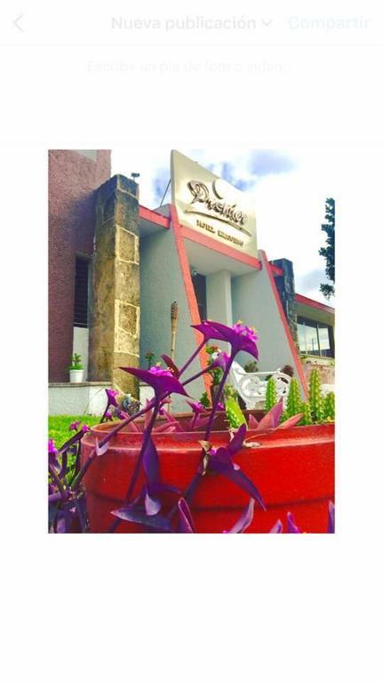 Hotel Premier Río Verde エクステリア 写真