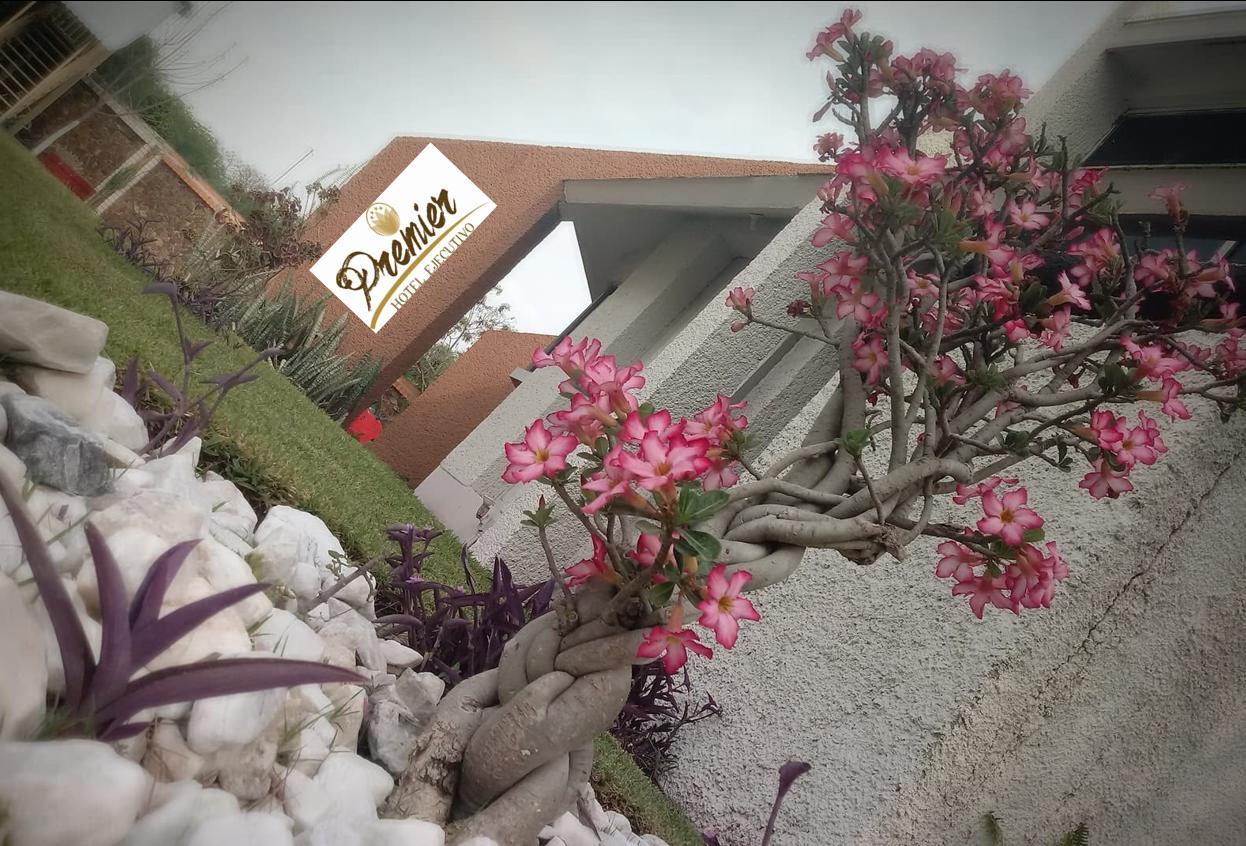 Hotel Premier Río Verde エクステリア 写真